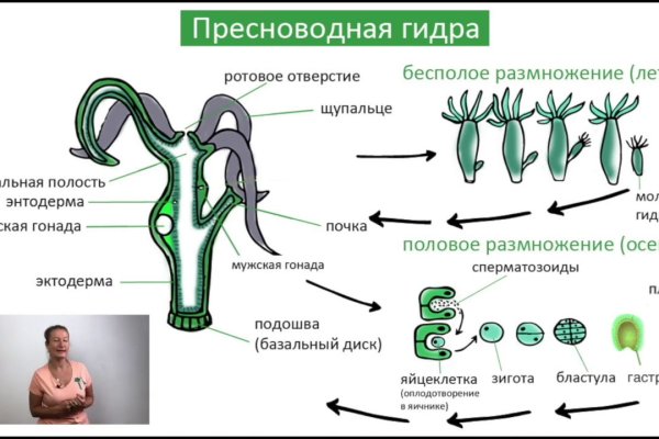 Кракен черный сайт