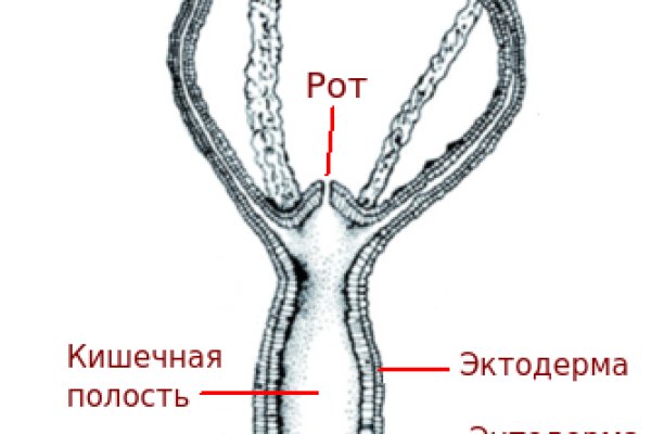 Кракен сайт войти