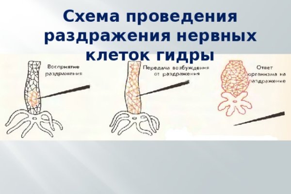 Кракен даркшоп